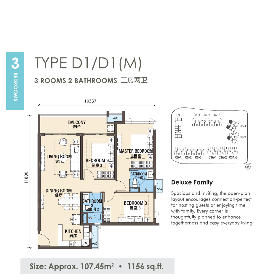 R&F Princess Cove Phase 3 New Casa Suites D1/D1(M) 户型图，3房